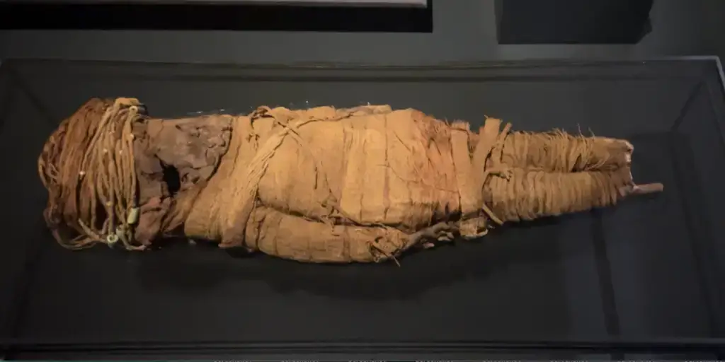 chinchorro-mummies-oldest-in-the-world-chile