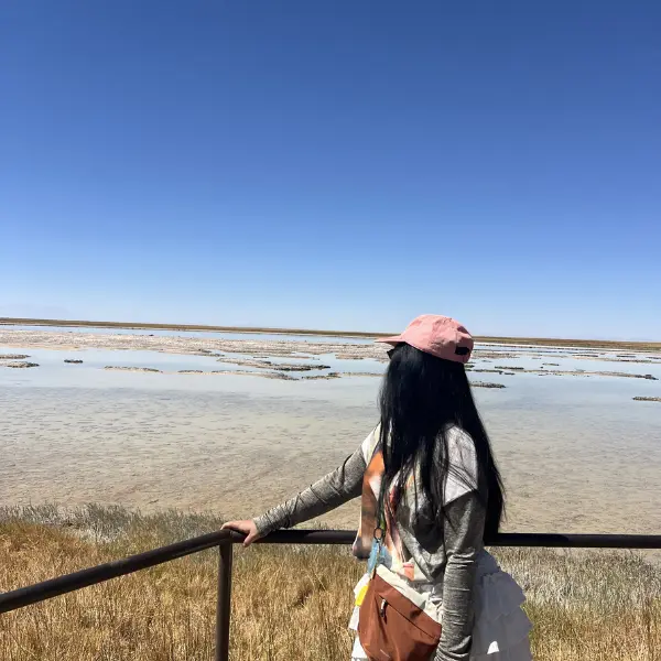 Salar de Atacama Flamingos viewpoint