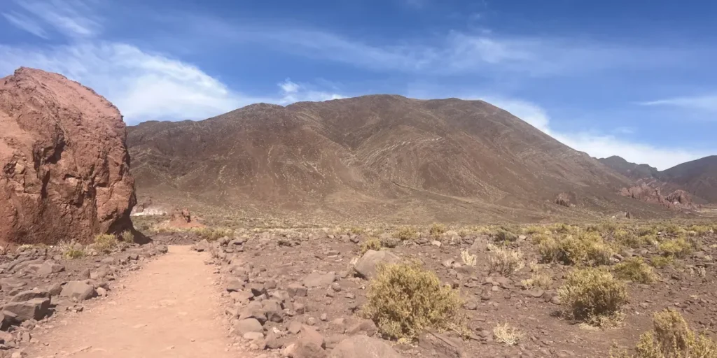 Valle del Arcoiris Atacama trail entry thorny desert plants Atacama Chile warning