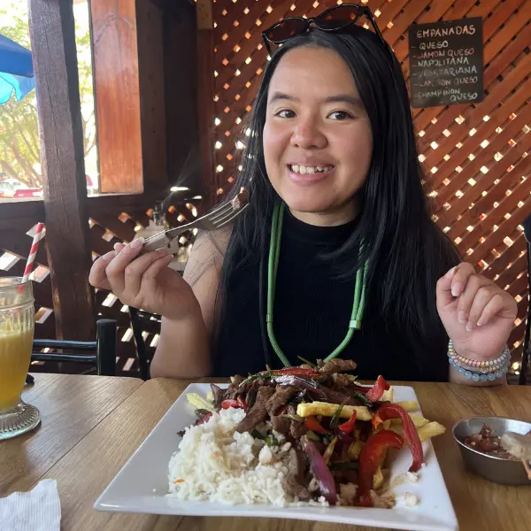 Close-up of Lomo Saltado traditional Andean beef stir-fry with rice