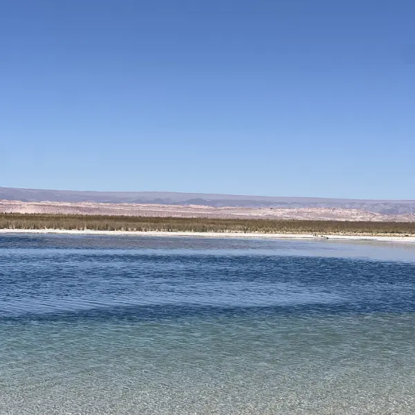 salt crust edge of Laguna Cejar Atacama